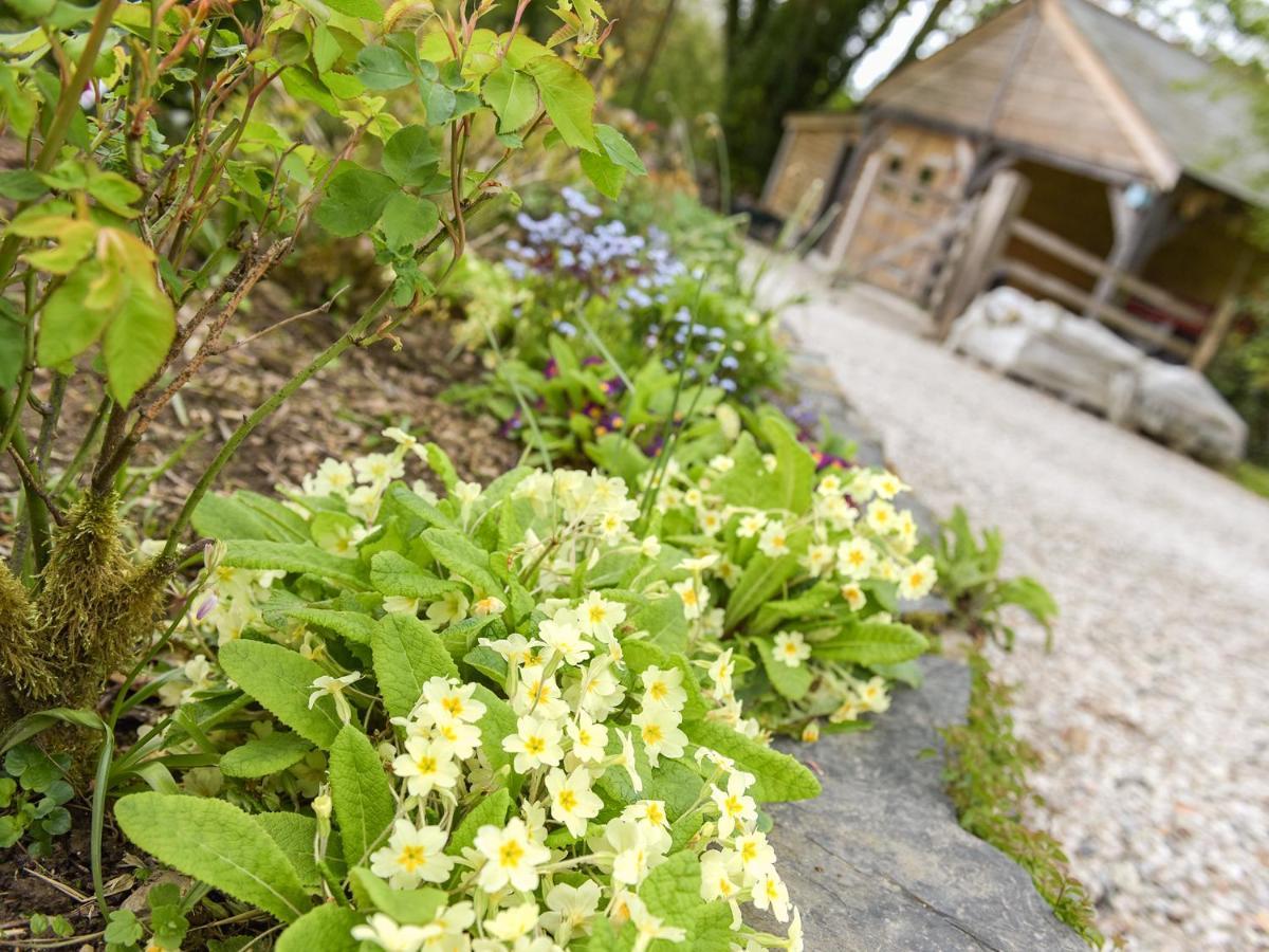 Mimi's Cottage Liskeard Esterno foto